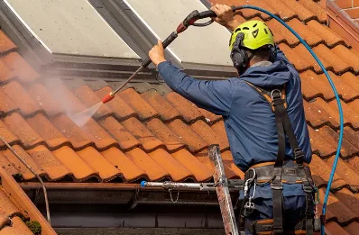 Démoussage et hydrofuge de toiture à Thurageau